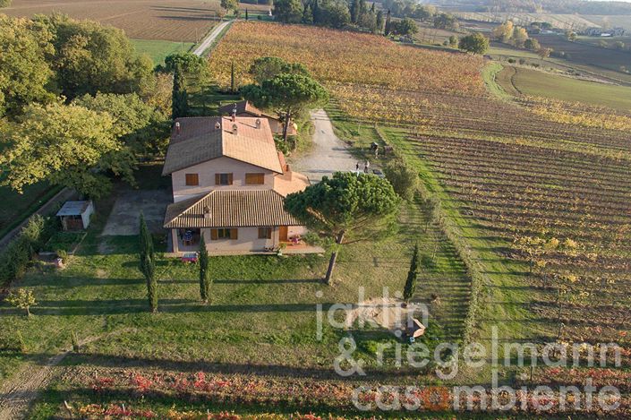 Image No.3-Ferme de 8 chambres à vendre à Castiglione del Lago