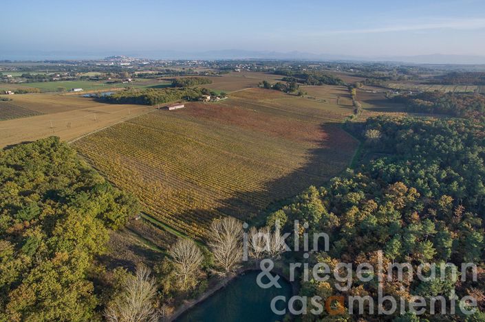Image No.30-Ferme de 8 chambres à vendre à Castiglione del Lago