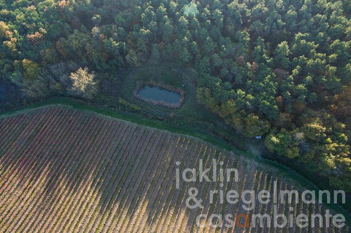 Image No.33-Ferme de 8 chambres à vendre à Castiglione del Lago