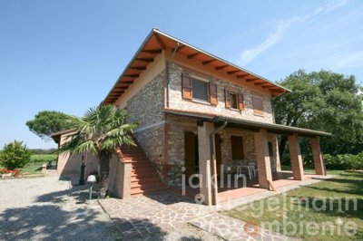 6659ed08afc50m103607