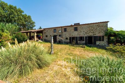 64f2097dd2804m123425