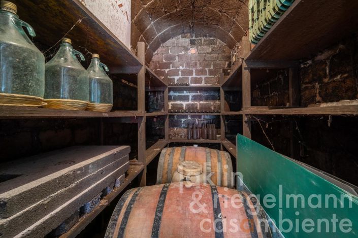 Image No.57-4 Bed Country House for sale