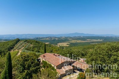 64f206543ba2am123407