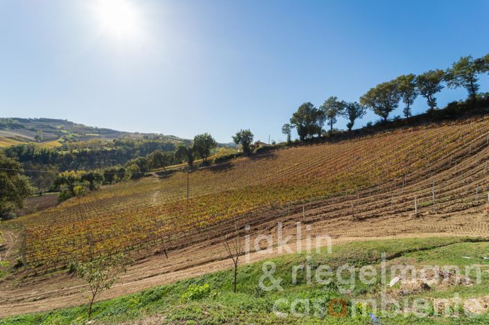 Image No.62-Ferme de 10 chambres à vendre à Fermo
