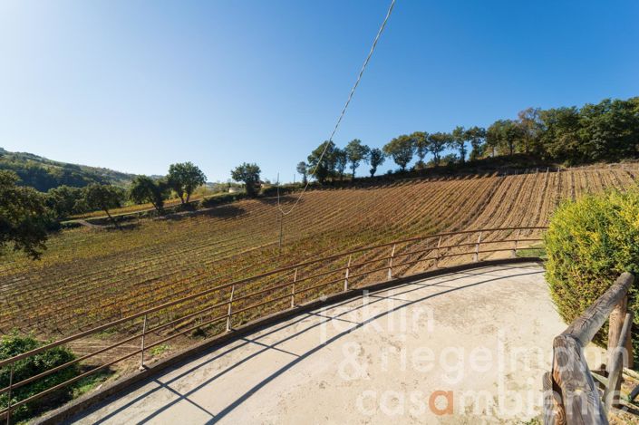 Image No.63-Ferme de 10 chambres à vendre à Fermo