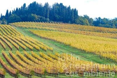 67f4f7378291cm124421