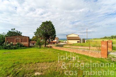 6818d41b81b08m125214