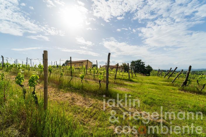 Image No.20-7 Bed Farmhouse for sale