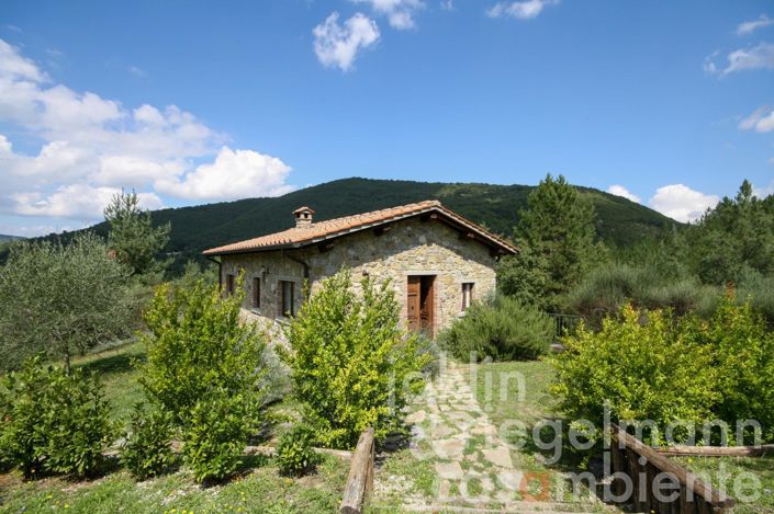 Image No.30-Ferme de 9 chambres à vendre à Chiusi della Verna
