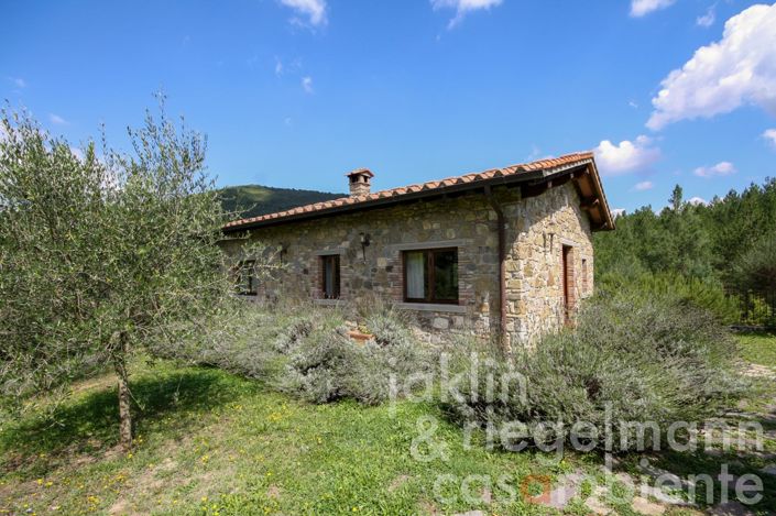 Image No.32-Ferme de 9 chambres à vendre à Chiusi della Verna