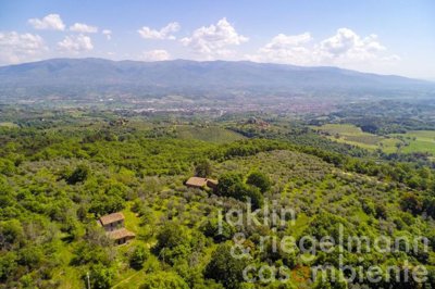 627b70964a0a2m242412