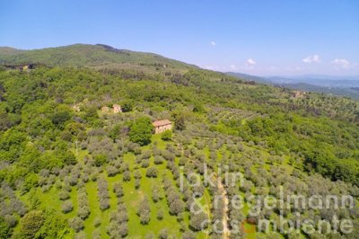 627b709de01d6m242414