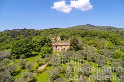 627b70757c7cfm242403