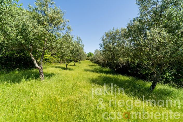 Image No.31-Maison de campagne de 6 chambres à vendre à Figline Valdarno