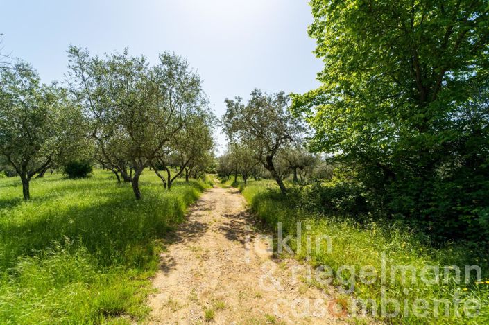 Image No.36-6 Bed Country House for sale