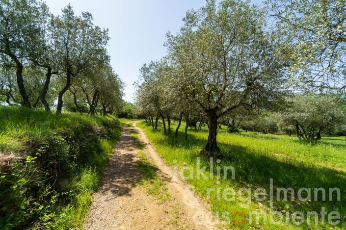 Image No.37-Maison de campagne de 6 chambres à vendre à Figline Valdarno