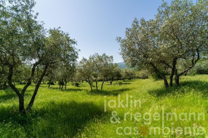 Image No.38-6 Bed Country House for sale