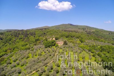 627b707cf1211m242405