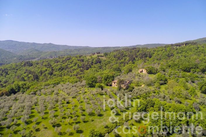 Image No.6-6 Bed Country House for sale