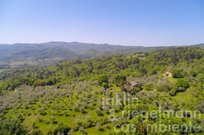 Image No.7-6 Bed Country House for sale