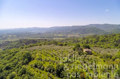 627b7087a7e24m242408