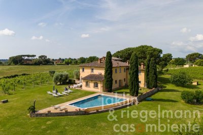 66583772bbf56m244905