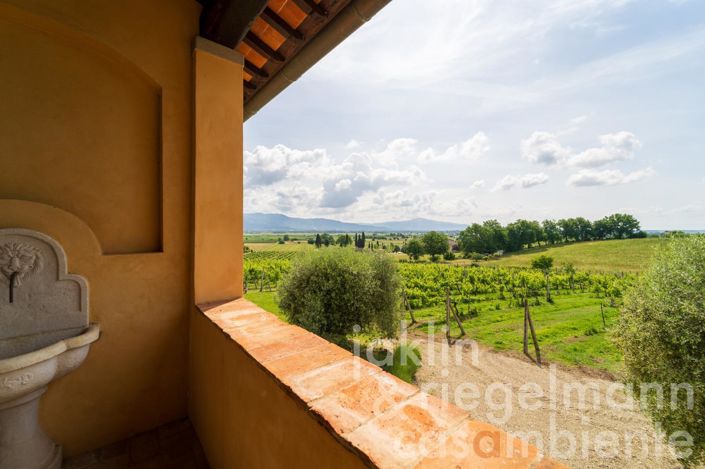 Image No.49-6 Bed Country House for sale