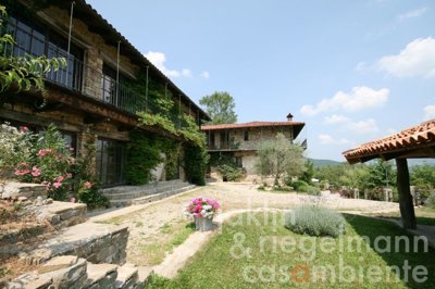 5c811b1c94c09m248110