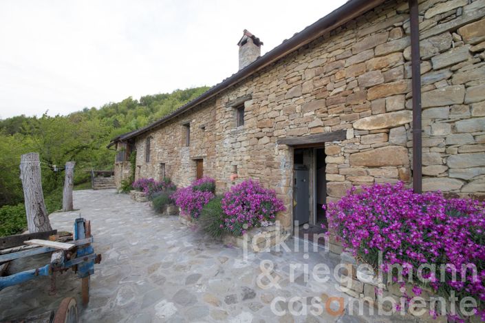 Image No.40-8 Bed Country House for sale