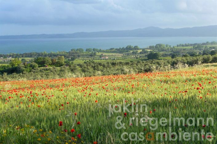 Image No.3-3 Bed Country House for sale