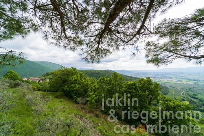 Image No.23-3 Bed Country House for sale