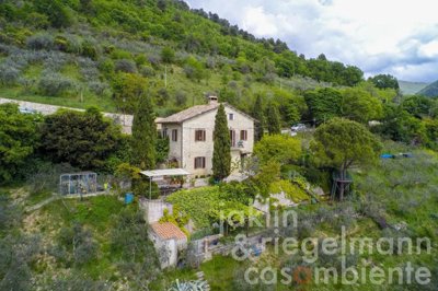 5ce95d9ebf88bm311608