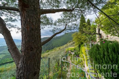 5ce95be6a9f42m311607