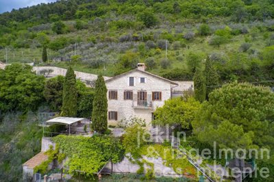 5ce95eccd251am311609