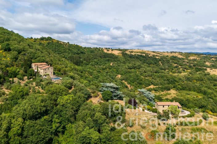 Image No.50-7 Bed Country House for sale