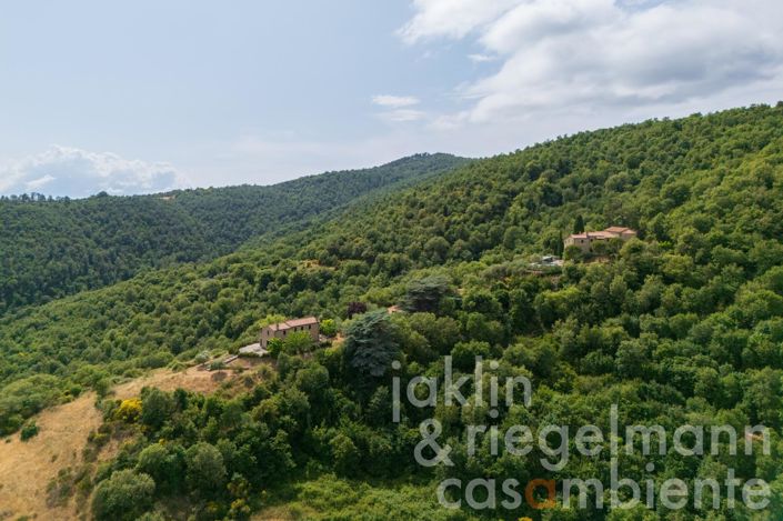 Image No.54-7 Bed Country House for sale