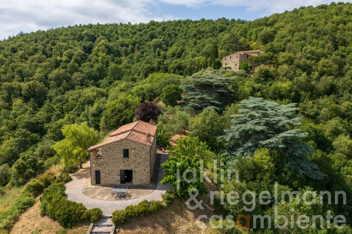 Image No.56-7 Bed Country House for sale