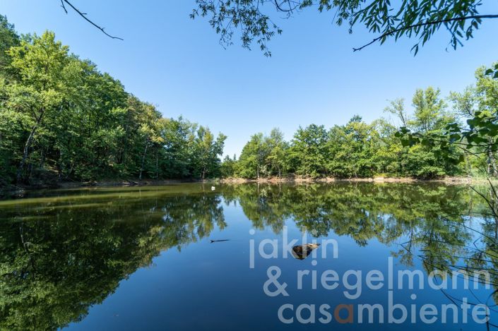 Image No.40-Ferme de 11 chambres à vendre à Arezzo