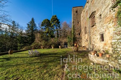 5e5e8b684b2c2m323504