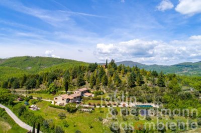 5f806bb91aec6m331405