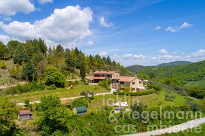 5f806bb1d44f0m331403