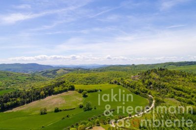 5f806bb5ed8a7m331404