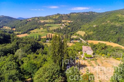 60e5e6afa379bm332909