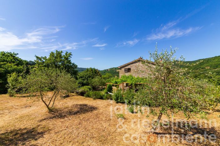 Image No.29-5 Bed Country House for sale