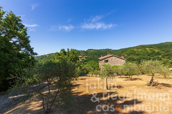 Image No.30-5 Bed Country House for sale