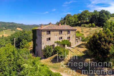 60e5e68f81bc1m332902