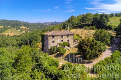 60e5e693d4852m332903