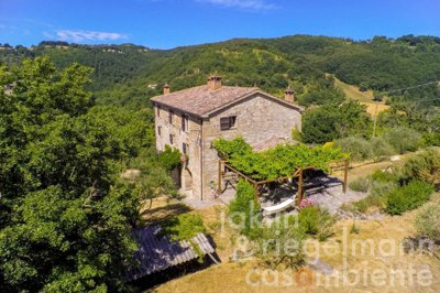 60e5e6a2cfe38m332906