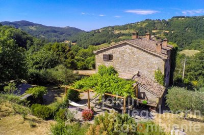 60e5e6a736858m332907