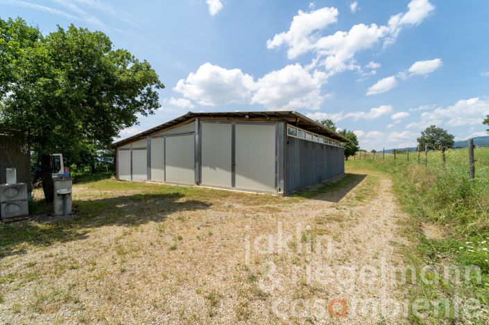 Image No.76-Maison de campagne de 9 chambres à vendre à Anghiari